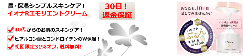 �C�I�iR�G�����G���g�N���[��/���ێ����T�C�g